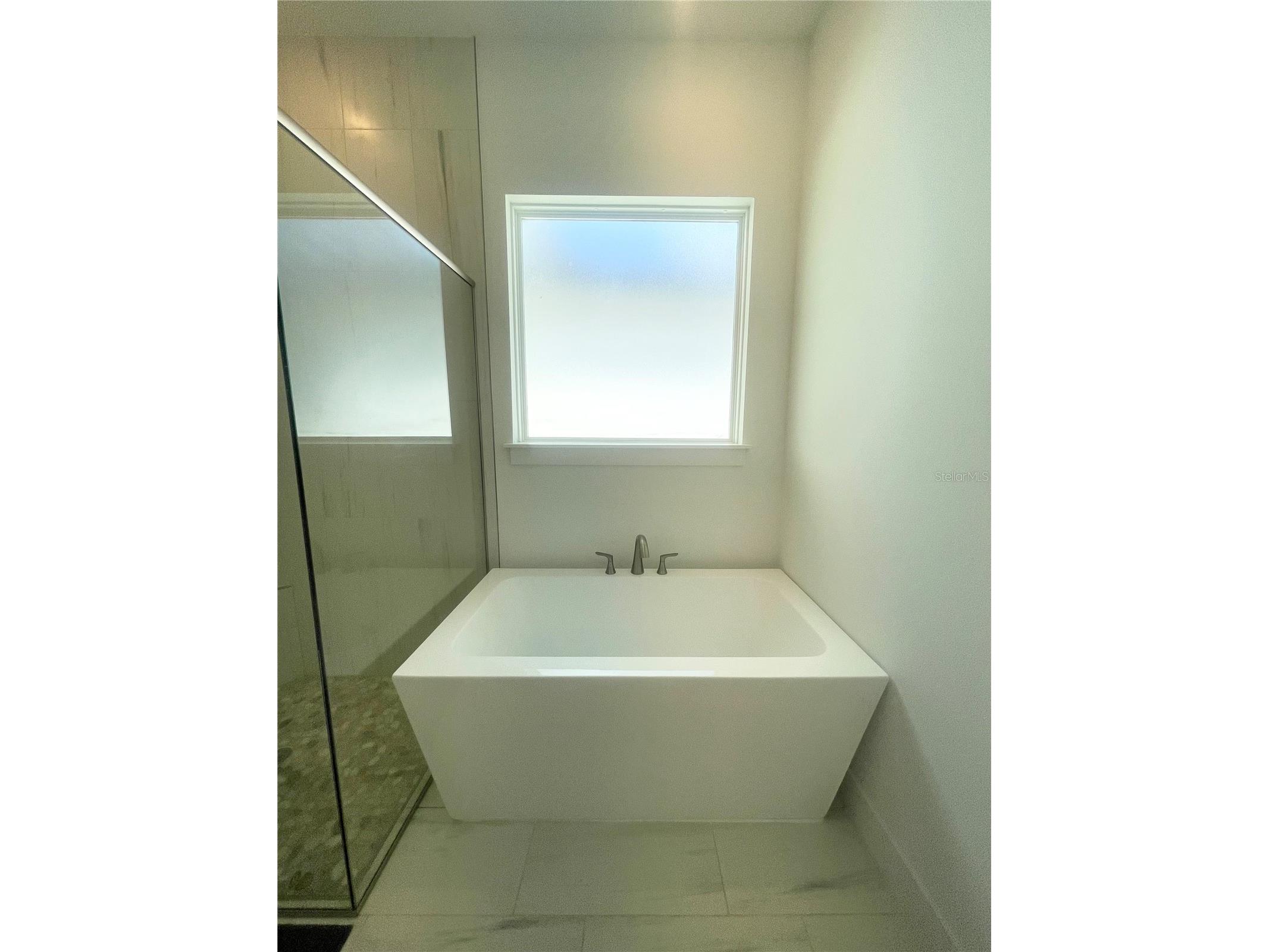 8486 Ivy Stark Boulevard Wesley Chapel FL 33545 TB8499075 image21