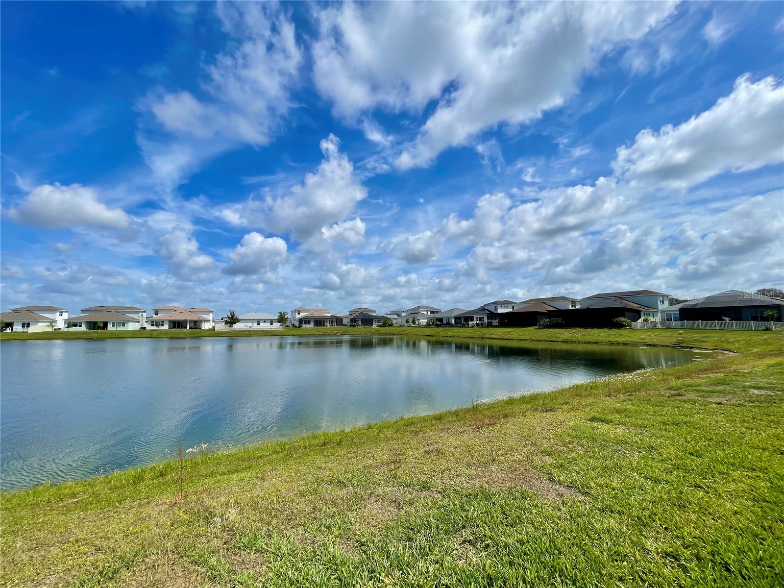 8486 Ivy Stark Boulevard Wesley Chapel FL 33545 TB8499075 image46