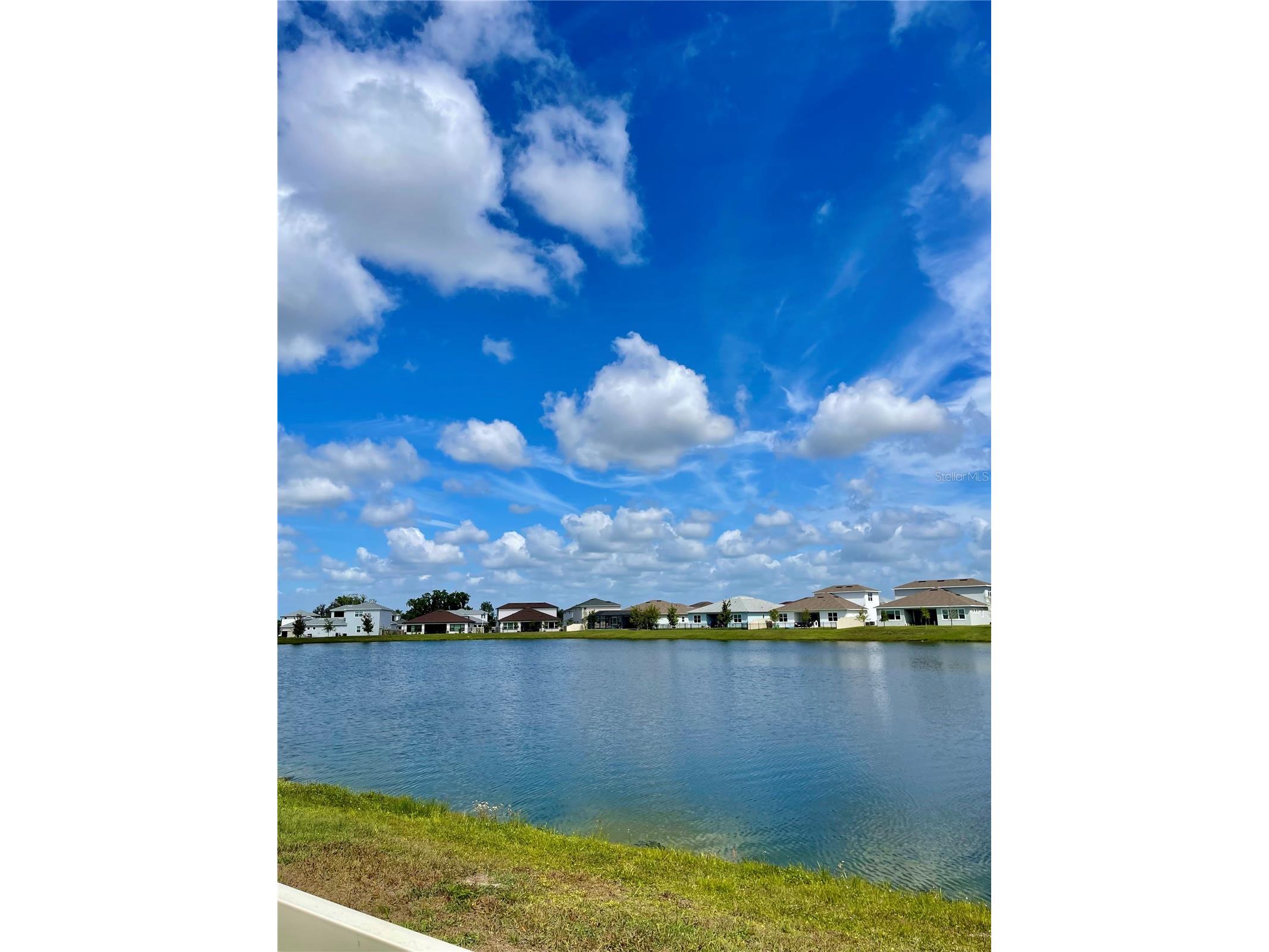 8486 Ivy Stark Boulevard Wesley Chapel FL 33545 TB8499075 image47