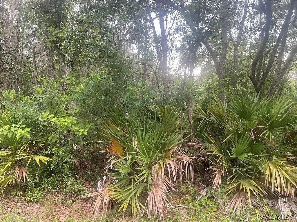 8488 N Ironwood Terrace Crystal River FL 34428 TB8493555 image1