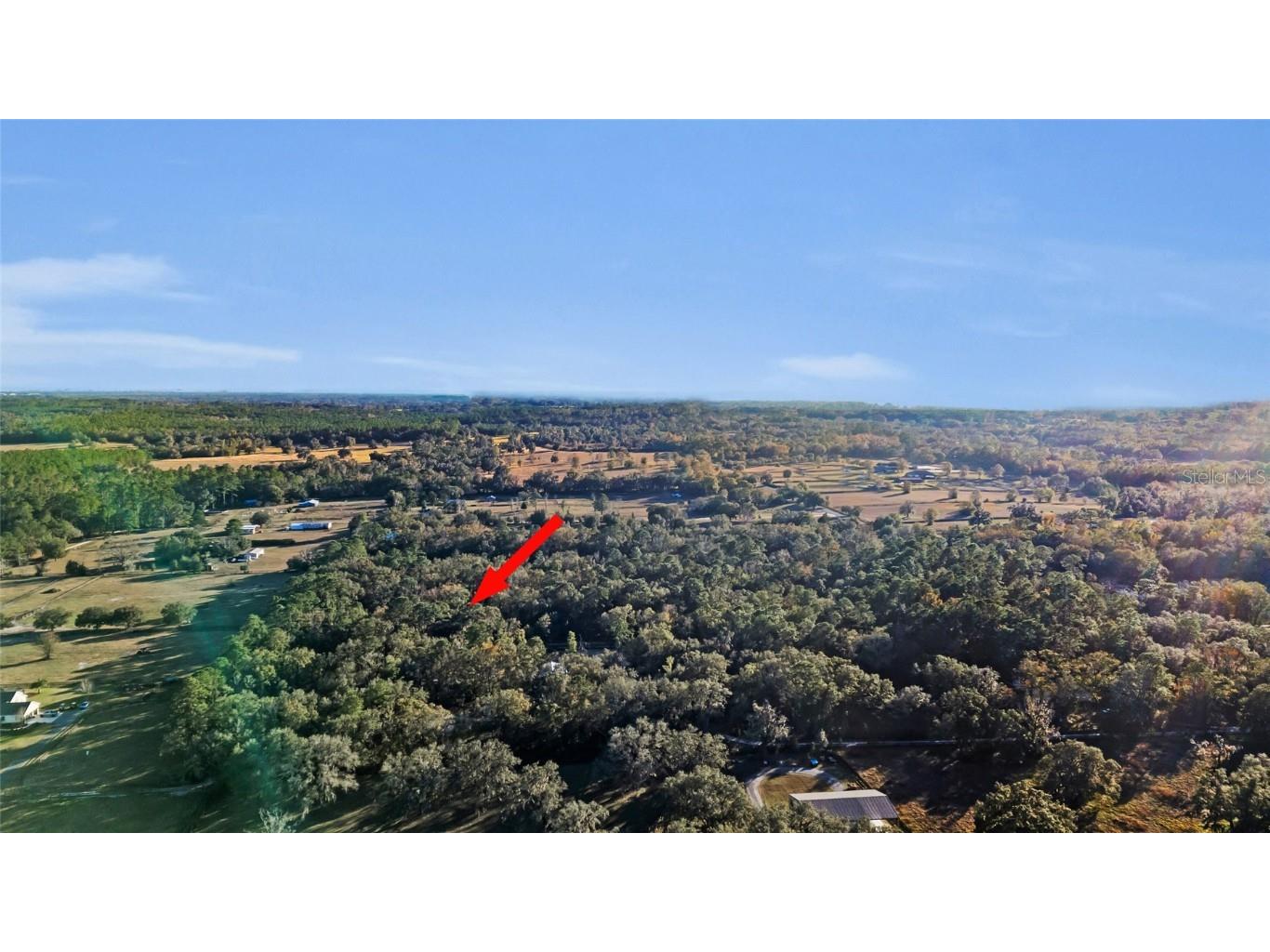 8489 NW 115th Avenue Ocala FL 34482 OM691548 image1