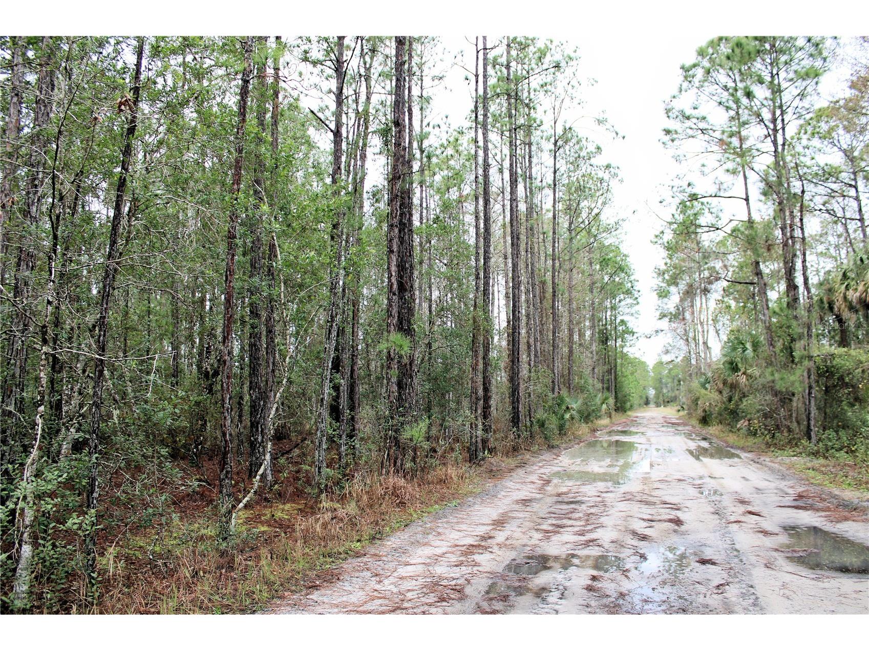 849 Ashby Way Osteen FL 32764 V4946982 image1