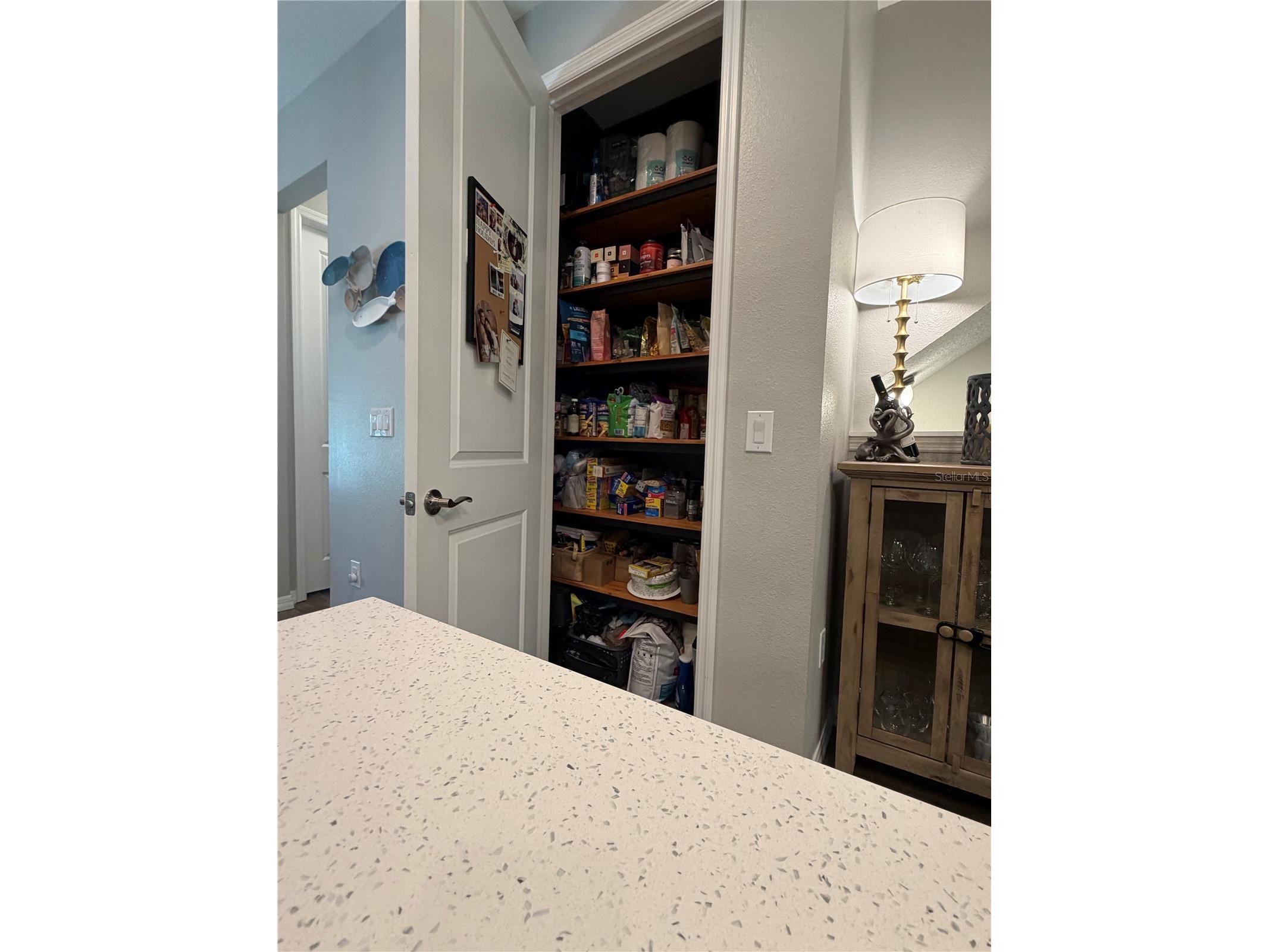849 Callista Cay Loop Tarpon Springs FL 34689 A4699413 image14