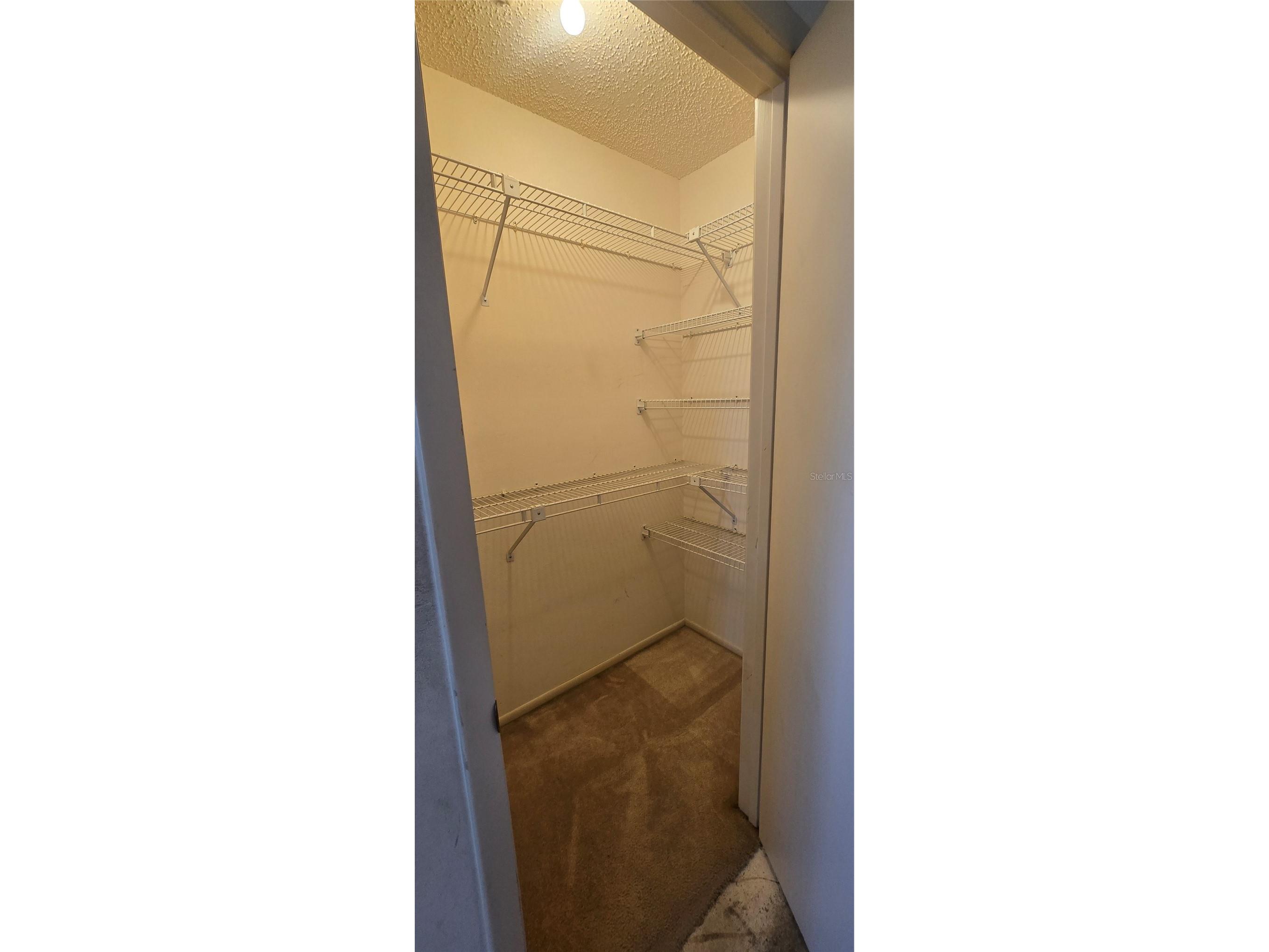 849 Cimarron Court Lakeland FL 33813 L4961627 image22