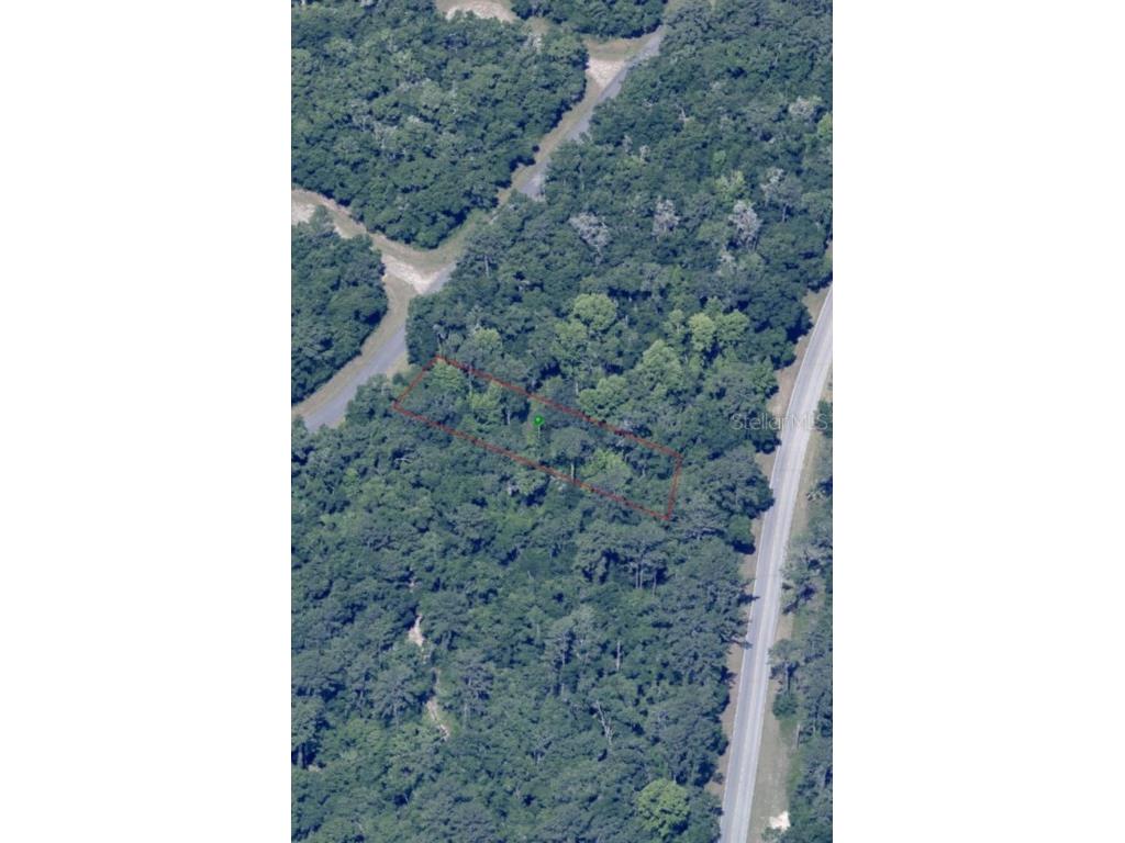 849 E Abend Drive Citrus Springs FL 34434 T3550252 image1