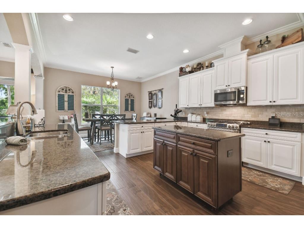 849 John Cressler Drive Seffner FL 33584 T3520564 image11