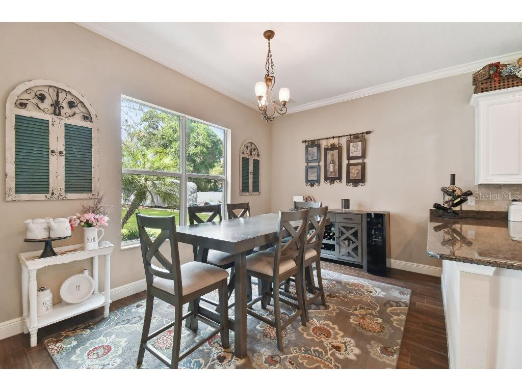 849 John Cressler Drive Seffner FL 33584 T3520564 image15