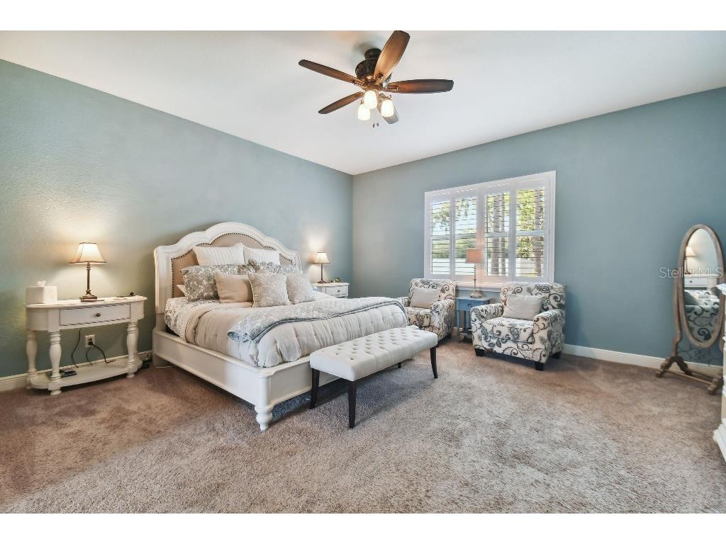 849 John Cressler Drive Seffner FL 33584 T3520564 image20