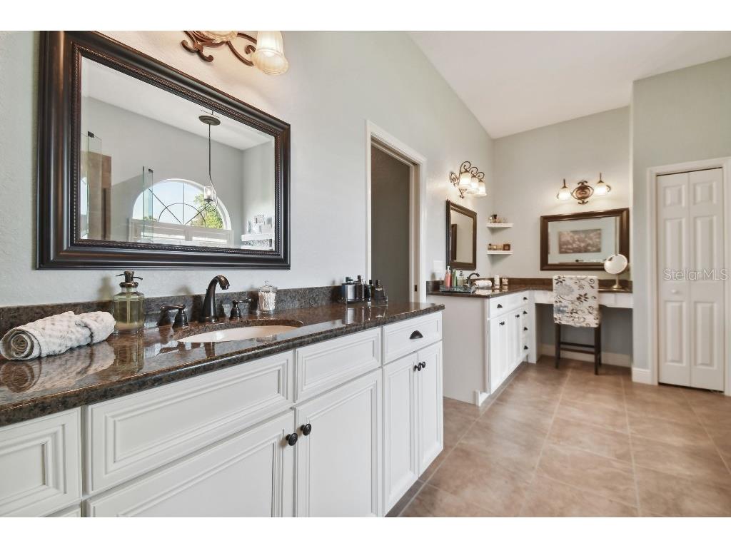 849 John Cressler Drive Seffner FL 33584 T3520564 image22
