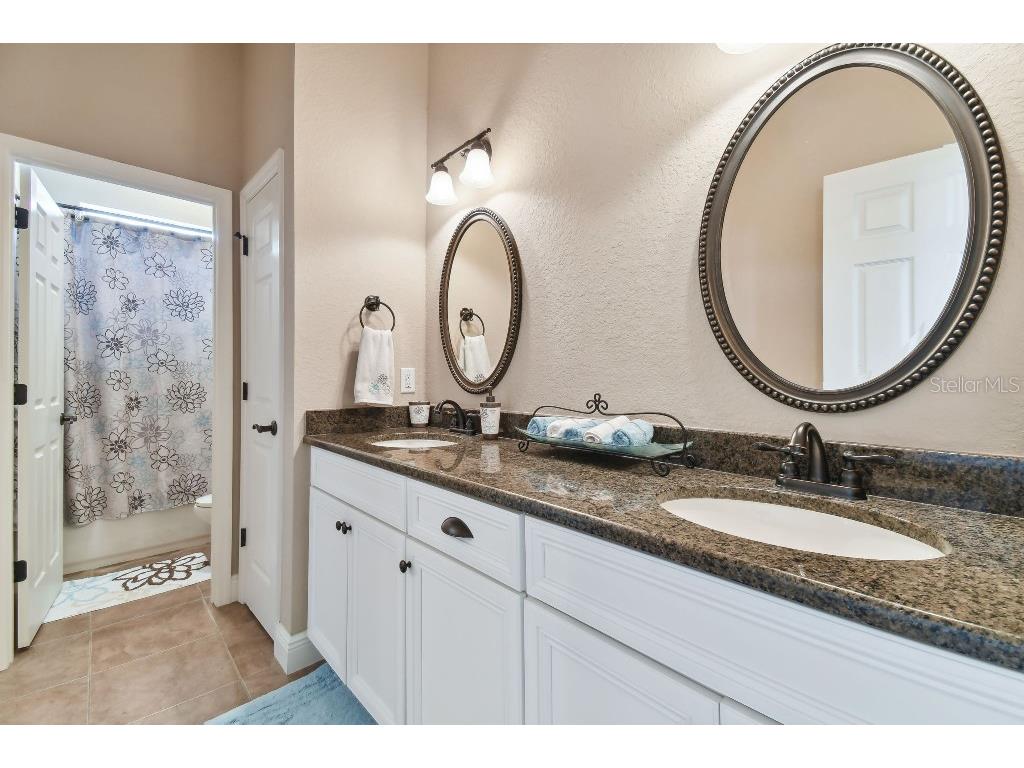 849 John Cressler Drive Seffner FL 33584 T3520564 image26