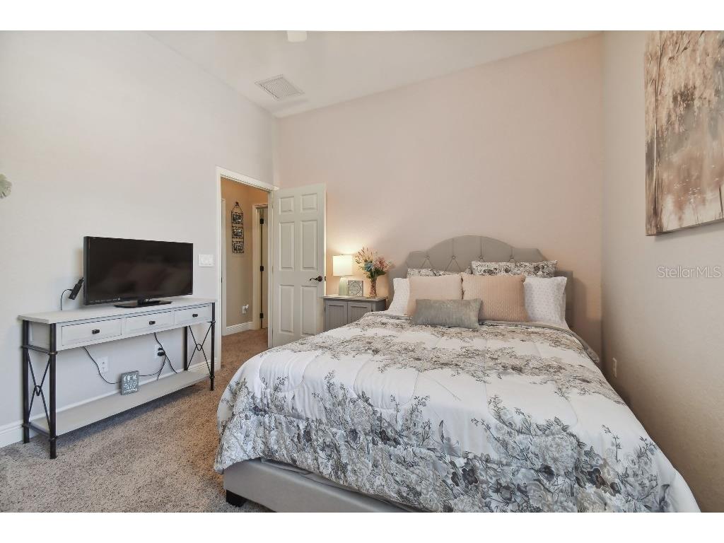 849 John Cressler Drive Seffner FL 33584 T3520564 image29