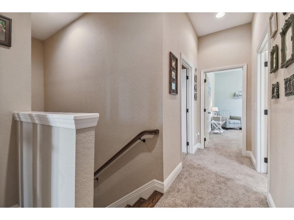 849 John Cressler Drive Seffner FL 33584 T3520564 image30