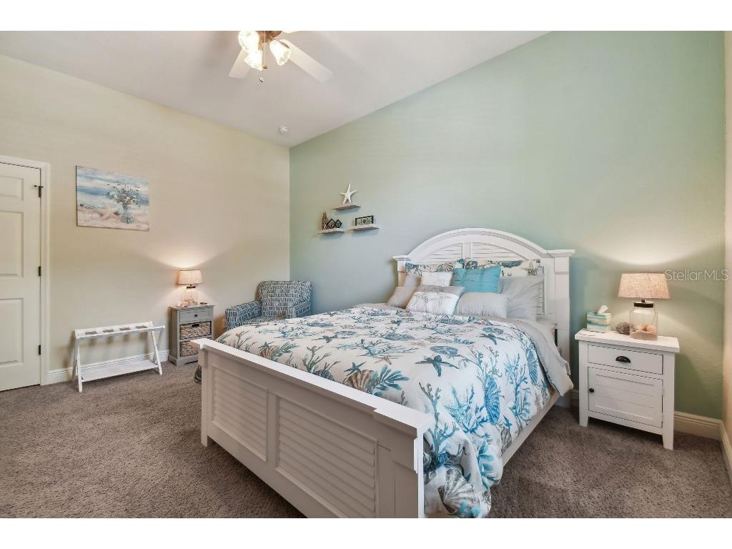 849 John Cressler Drive Seffner FL 33584 T3520564 image32