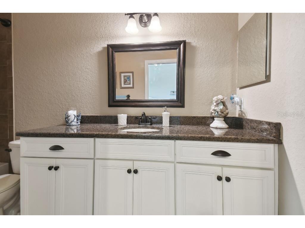 849 John Cressler Drive Seffner FL 33584 T3520564 image33
