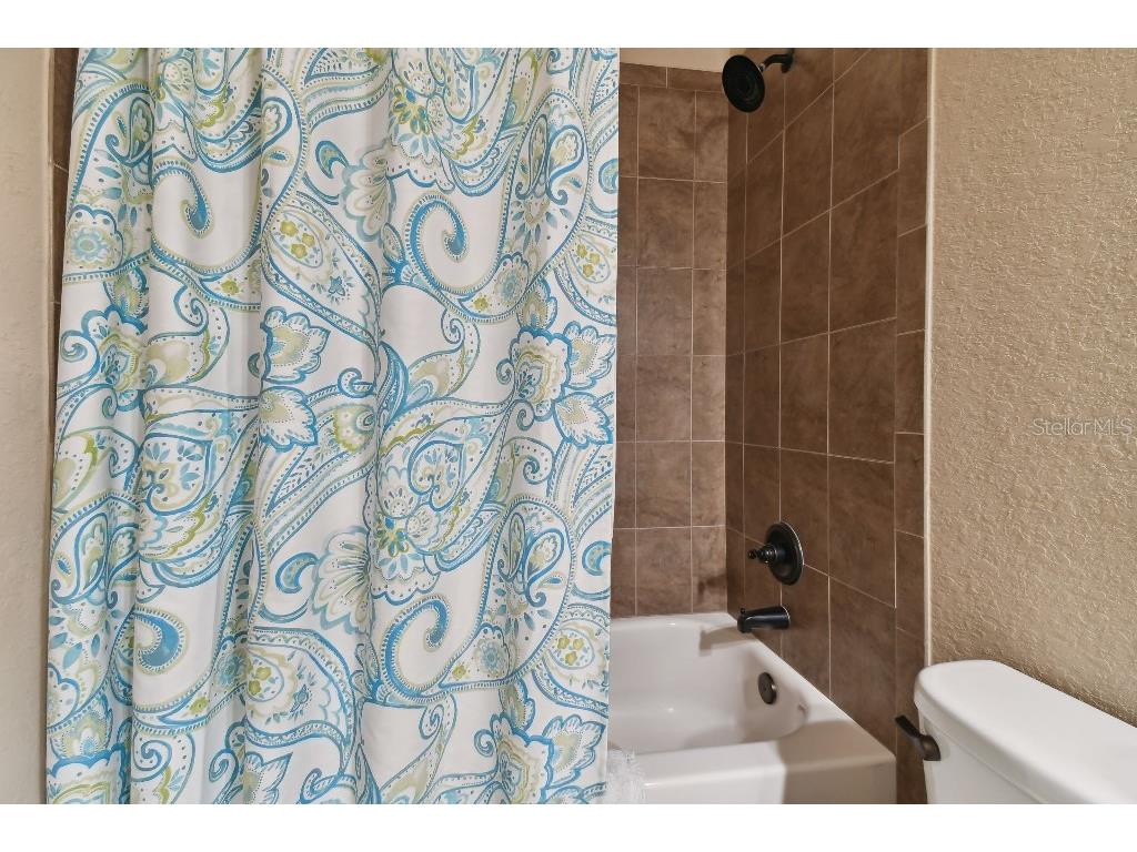 849 John Cressler Drive Seffner FL 33584 T3520564 image34