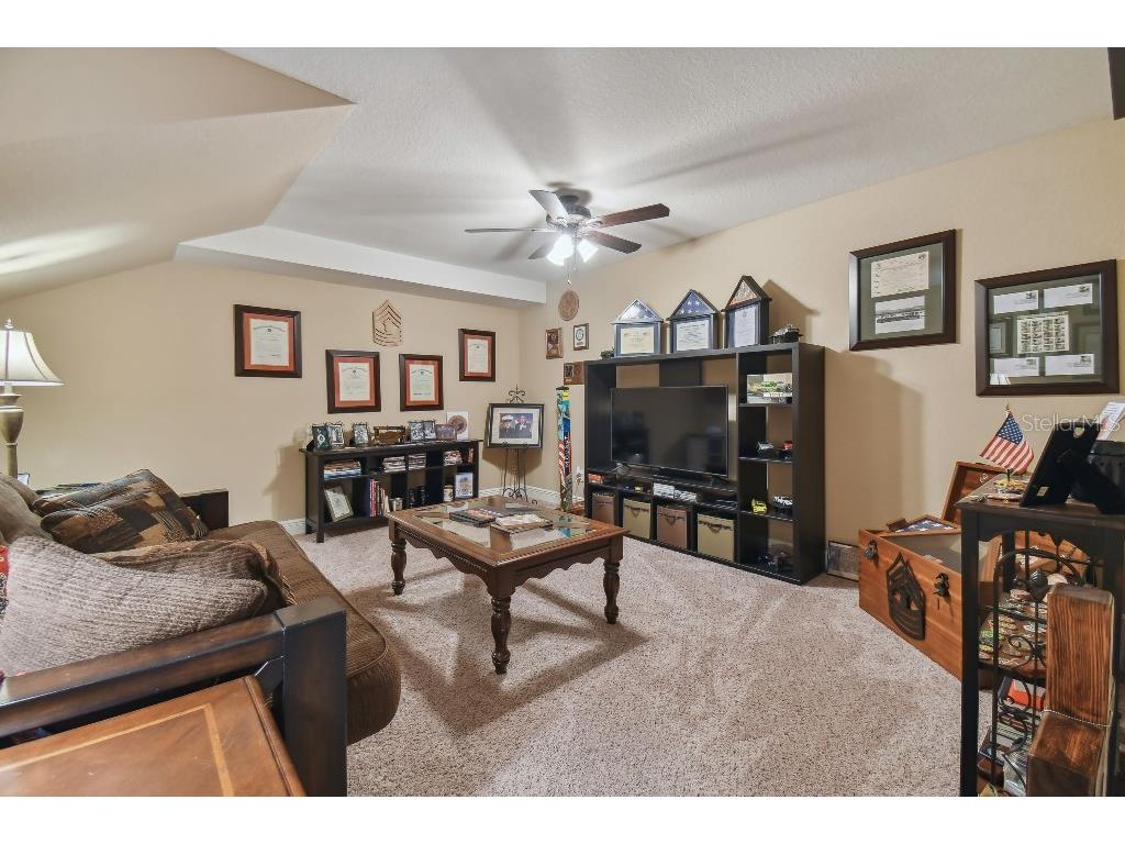 849 John Cressler Drive Seffner FL 33584 T3520564 image35