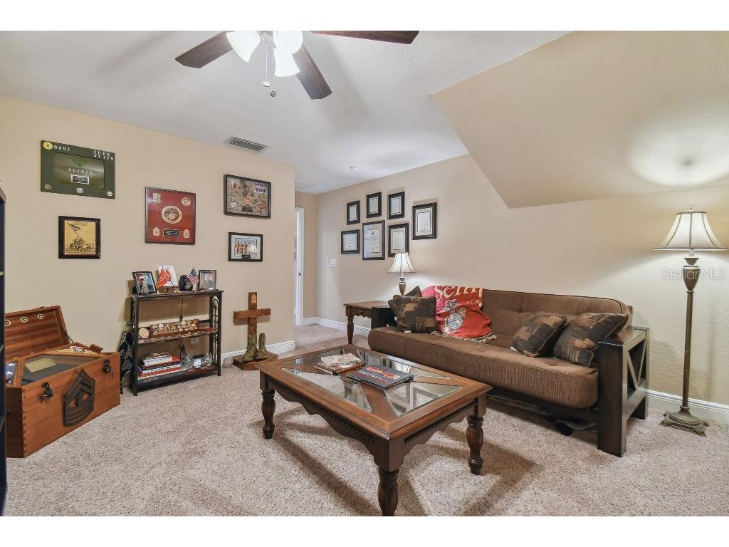 849 John Cressler Drive Seffner FL 33584 T3520564 image36