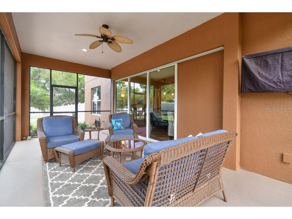 849 John Cressler Drive Seffner FL 33584 T3520564 image37