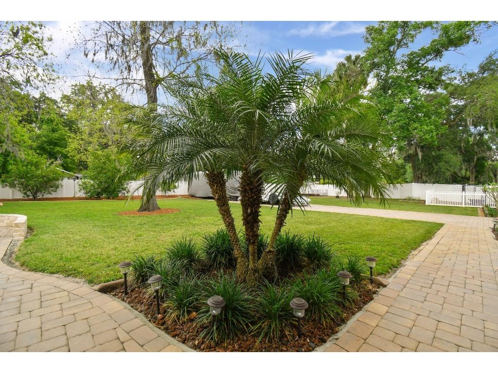 849 John Cressler Drive Seffner FL 33584 T3520564 image38