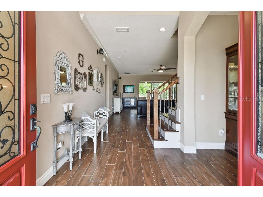 849 John Cressler Drive Seffner FL 33584 T3520564 image5