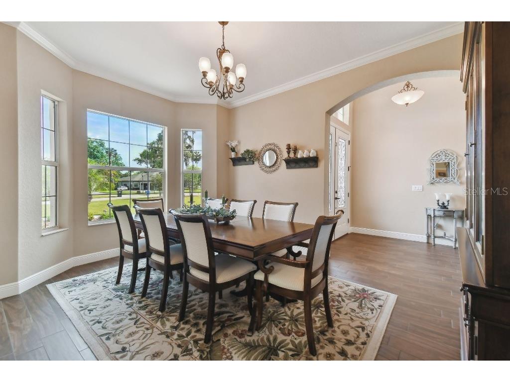 849 John Cressler Drive Seffner FL 33584 T3520564 image7