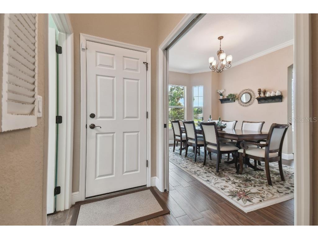 849 John Cressler Drive Seffner FL 33584 T3520564 image8