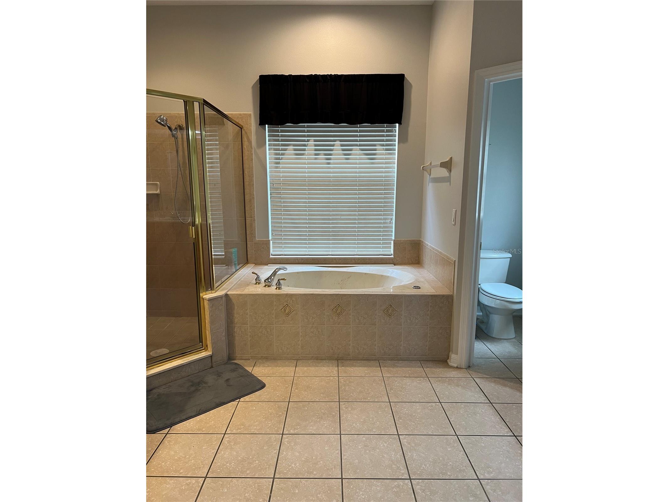 849 Shadowmoss Drive Winter Garden FL 34787 - Lake Beulah O6402463 image11