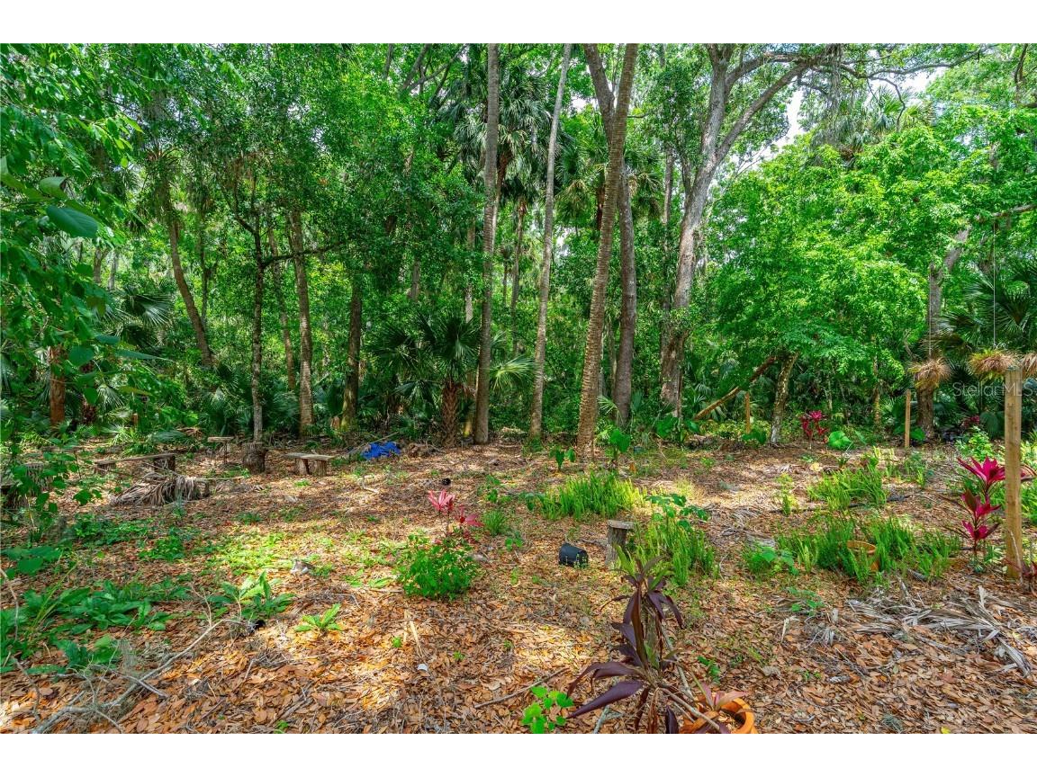 849 Terrace Avenue Daytona Beach FL 32114 NS1085427 image3