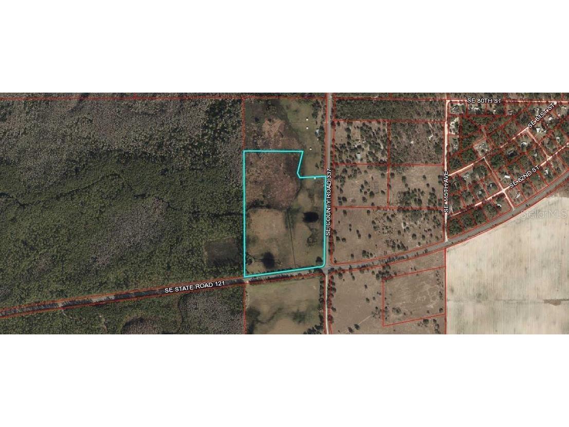 8490 SE State Road 121 Morriston FL 32668 OM622437 image1