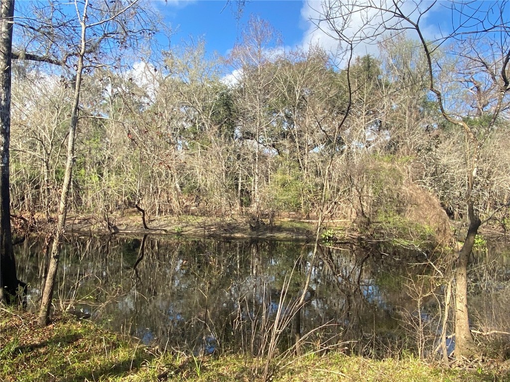 8491 Stone Drive Webster FL 33597 - WITHLACOOCHEE RIVER L4935007 image1