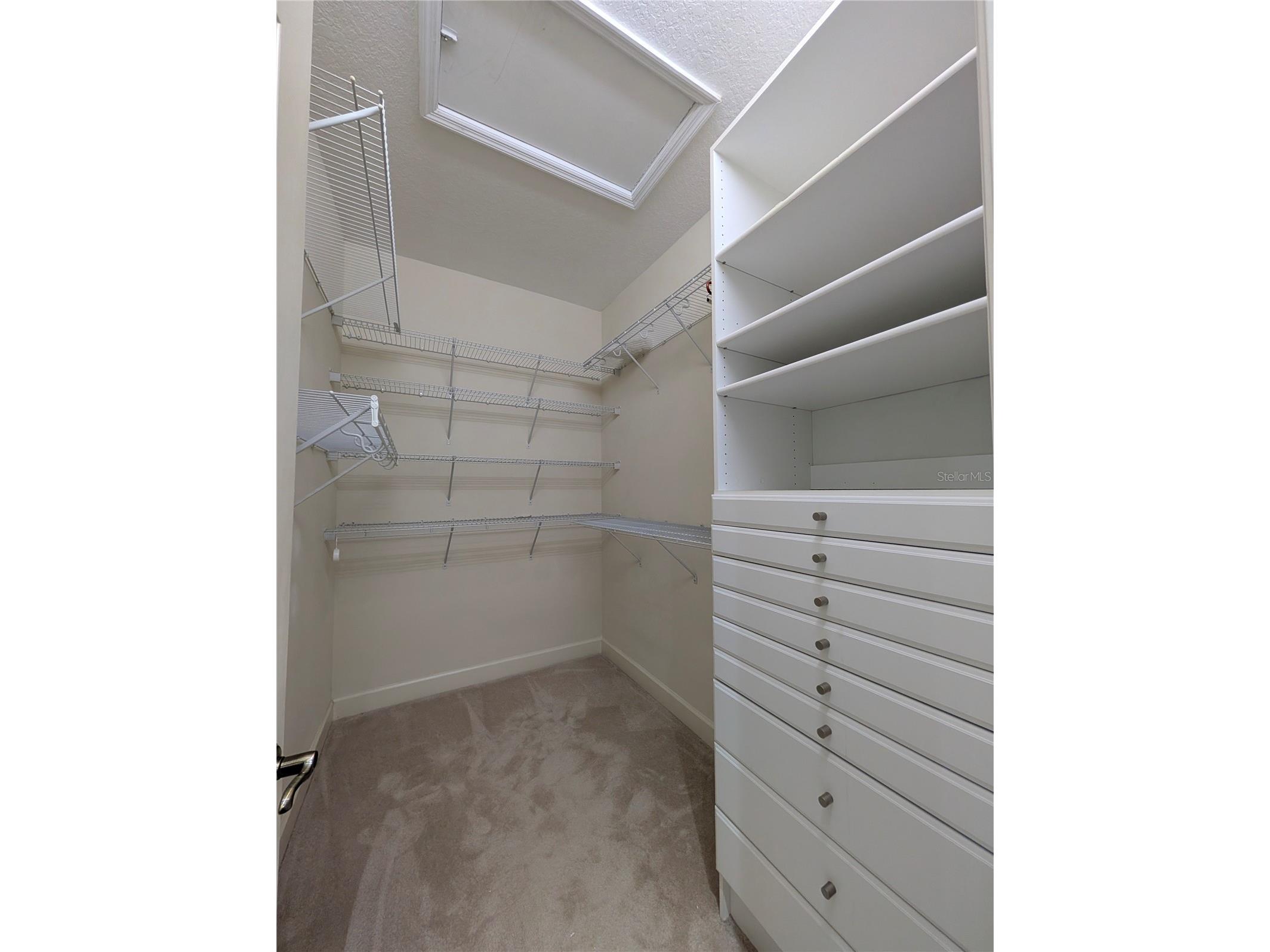 8492 Dunham Station Drive Tampa FL 33647 TB8470731 image28