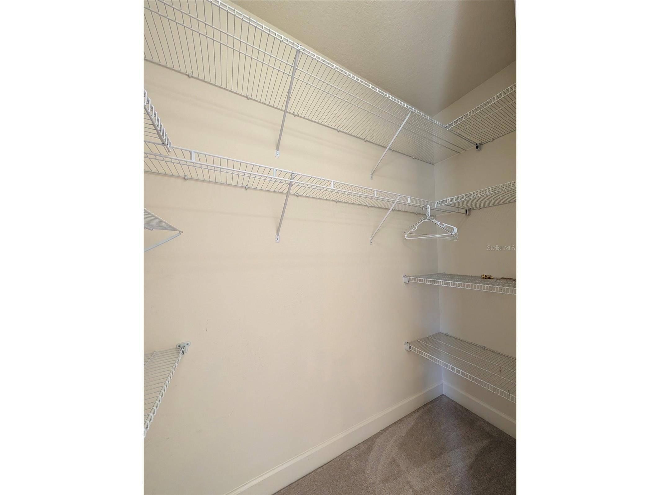 8492 Dunham Station Drive Tampa FL 33647 TB8470731 image33