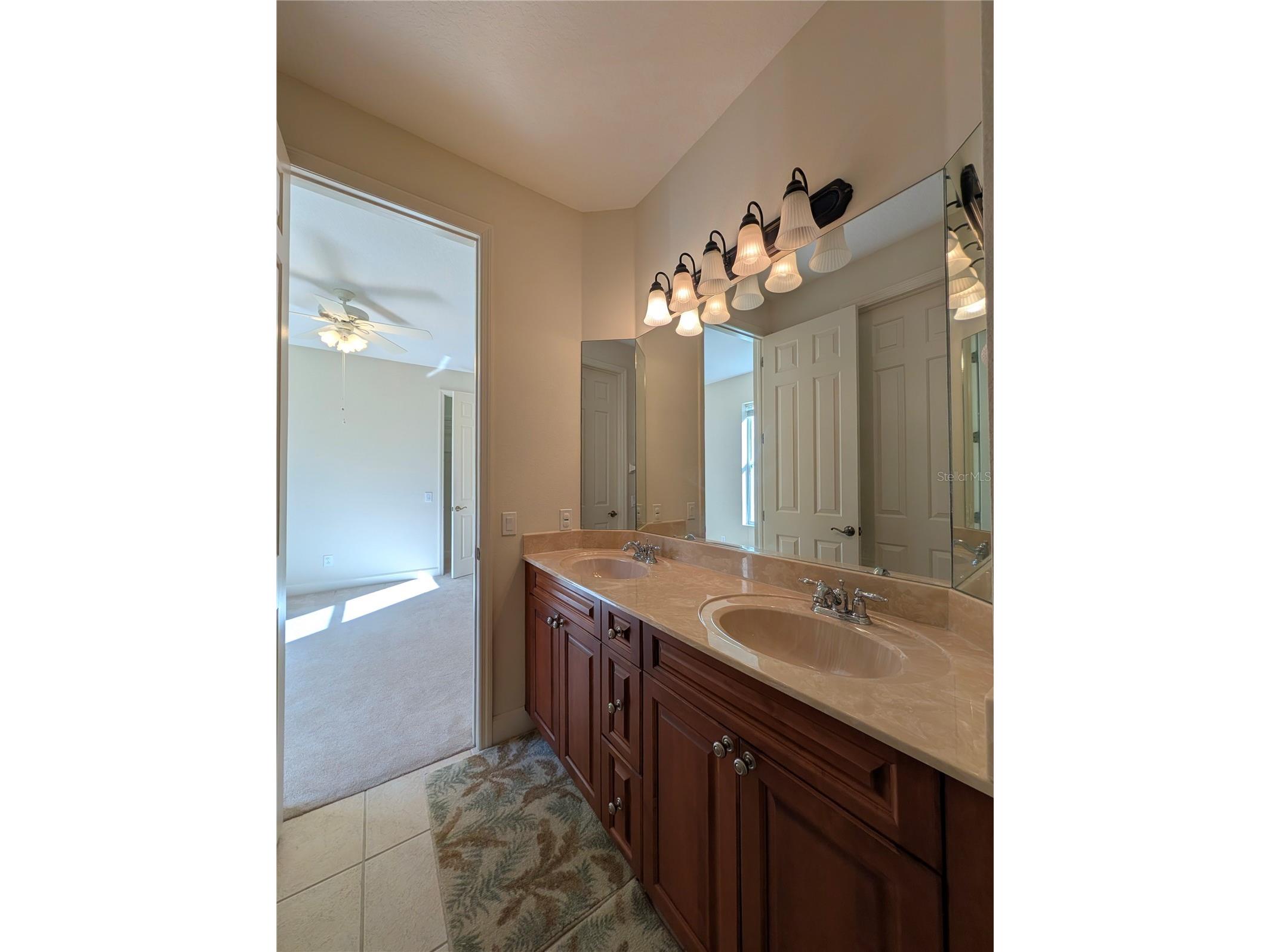 8492 Dunham Station Drive Tampa FL 33647 TB8470731 image35
