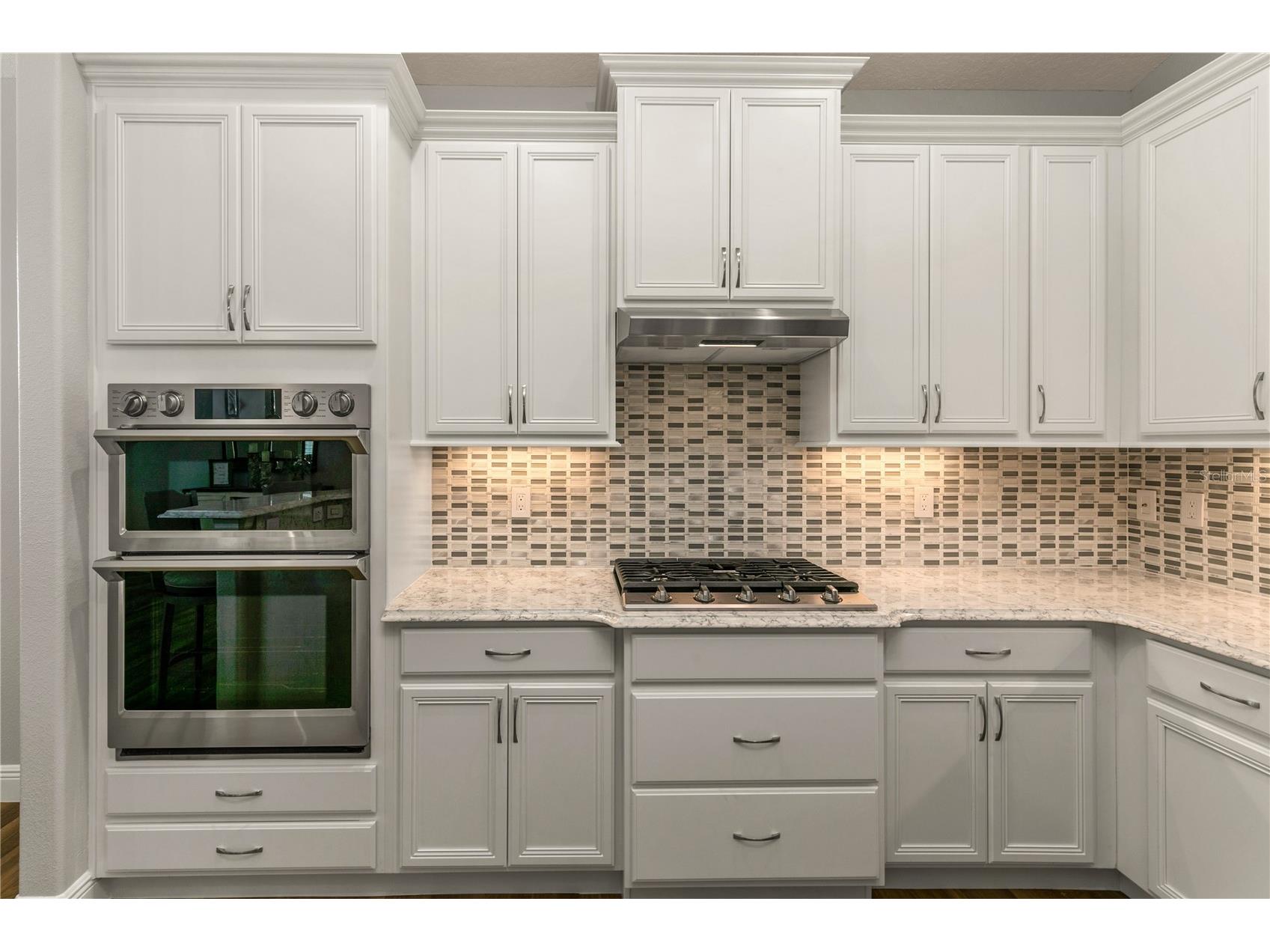 8492 Hartford Way Mount Dora FL 32757 G5111232 image10