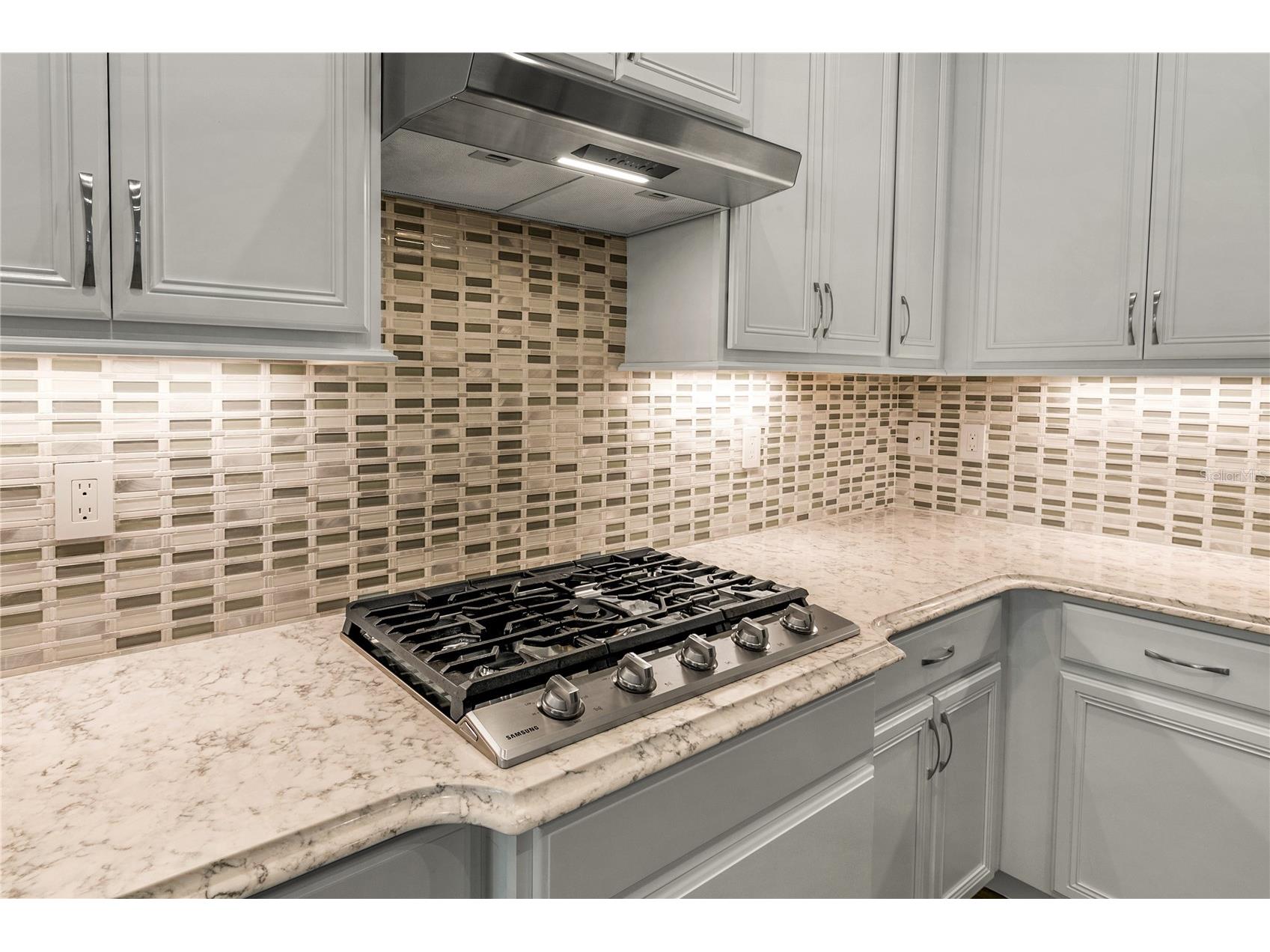 8492 Hartford Way Mount Dora FL 32757 G5111232 image11