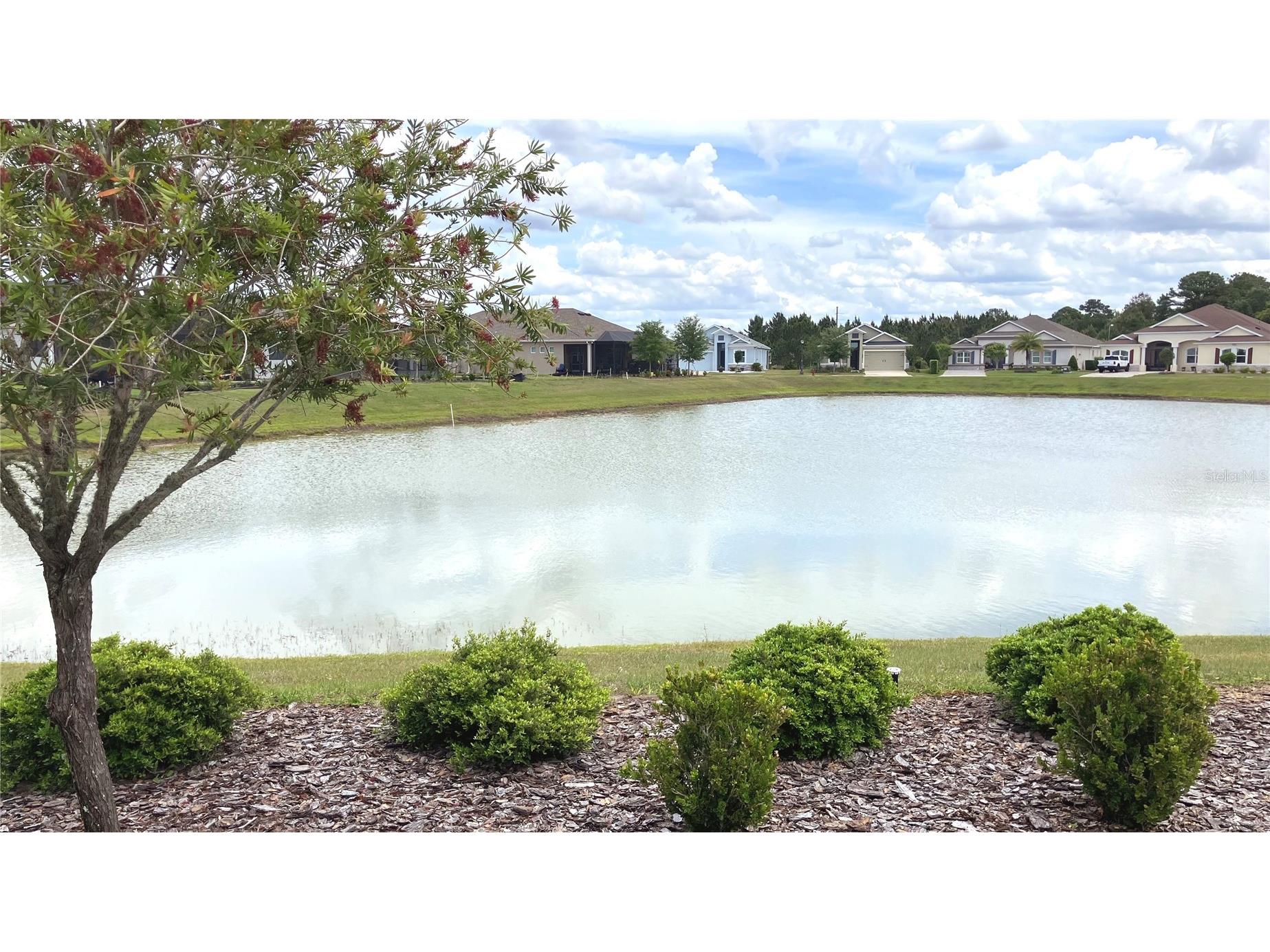 8492 Hartford Way Mount Dora FL 32757 G5111232 image38