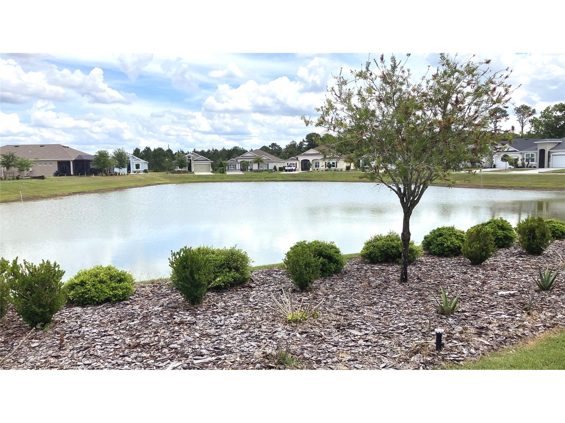8492 Hartford Way Mount Dora FL 32757 G5111232 image4