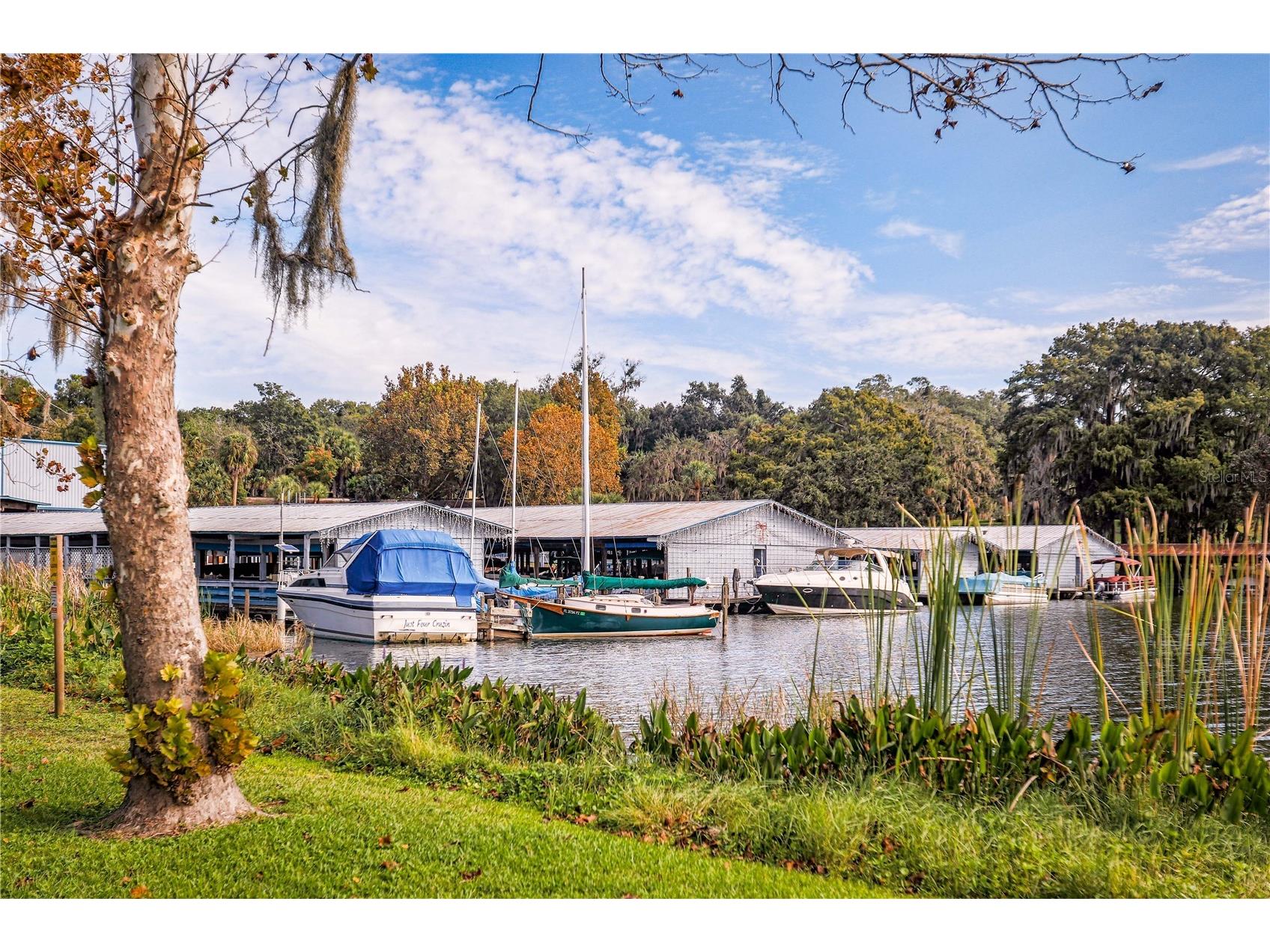 8492 Hartford Way Mount Dora FL 32757 G5111232 image54
