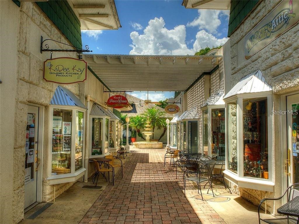 8492 Hartford Way Mount Dora FL 32757 G5111232 image61