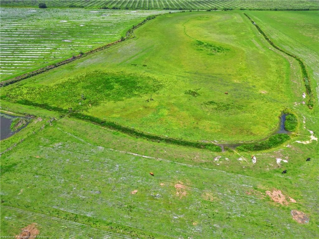 8495 County Road 621 Lorida FL 33857 P4936391 image13