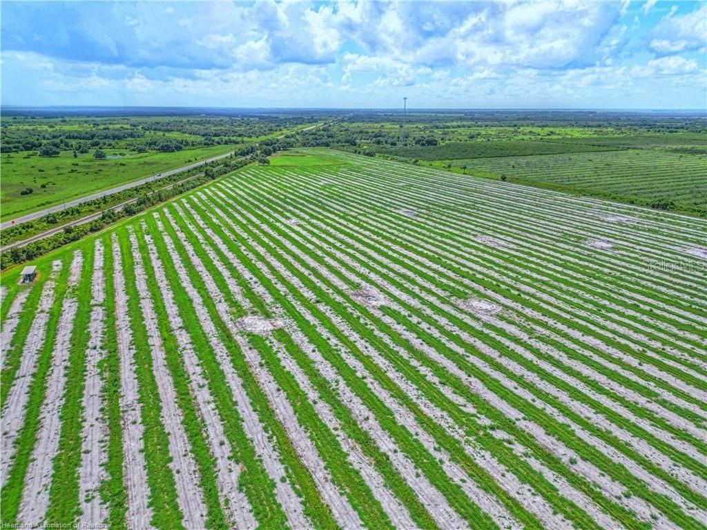 8495 County Road 621 Lorida FL 33857 P4936391 image17