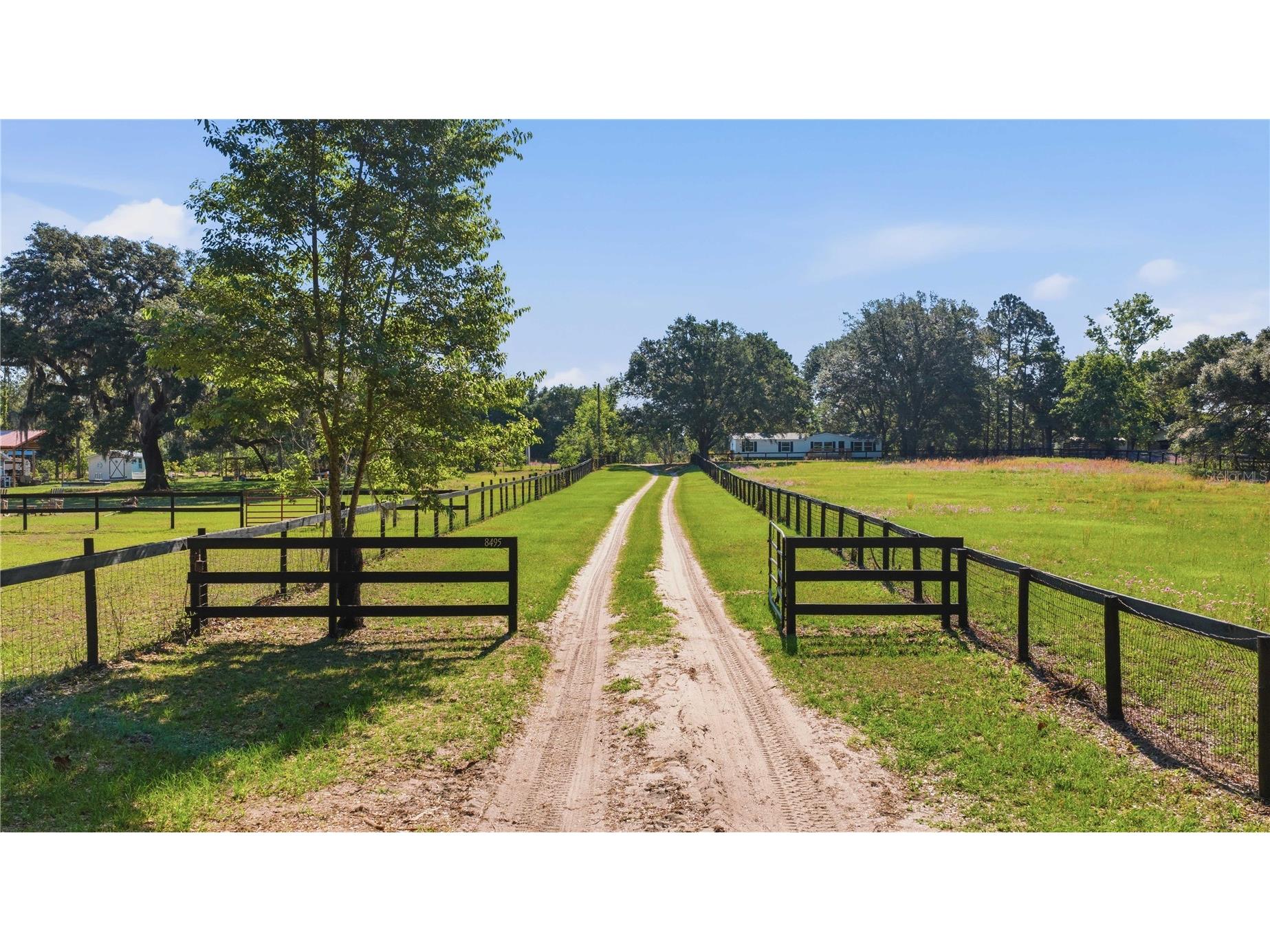 8495 NE 33rd Court Anthony FL 32617 OM723576 image35