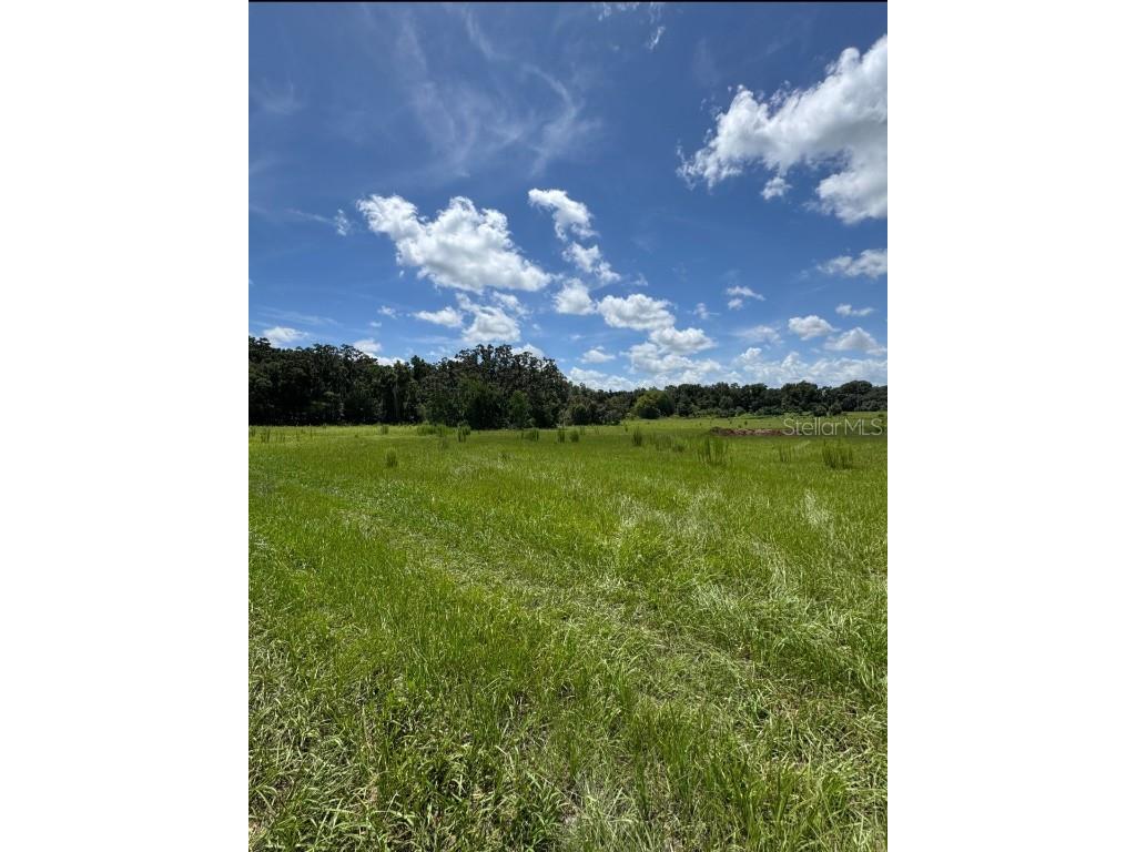 8496 NW 43rd Court Ocala FL 34482 OM708997 image1