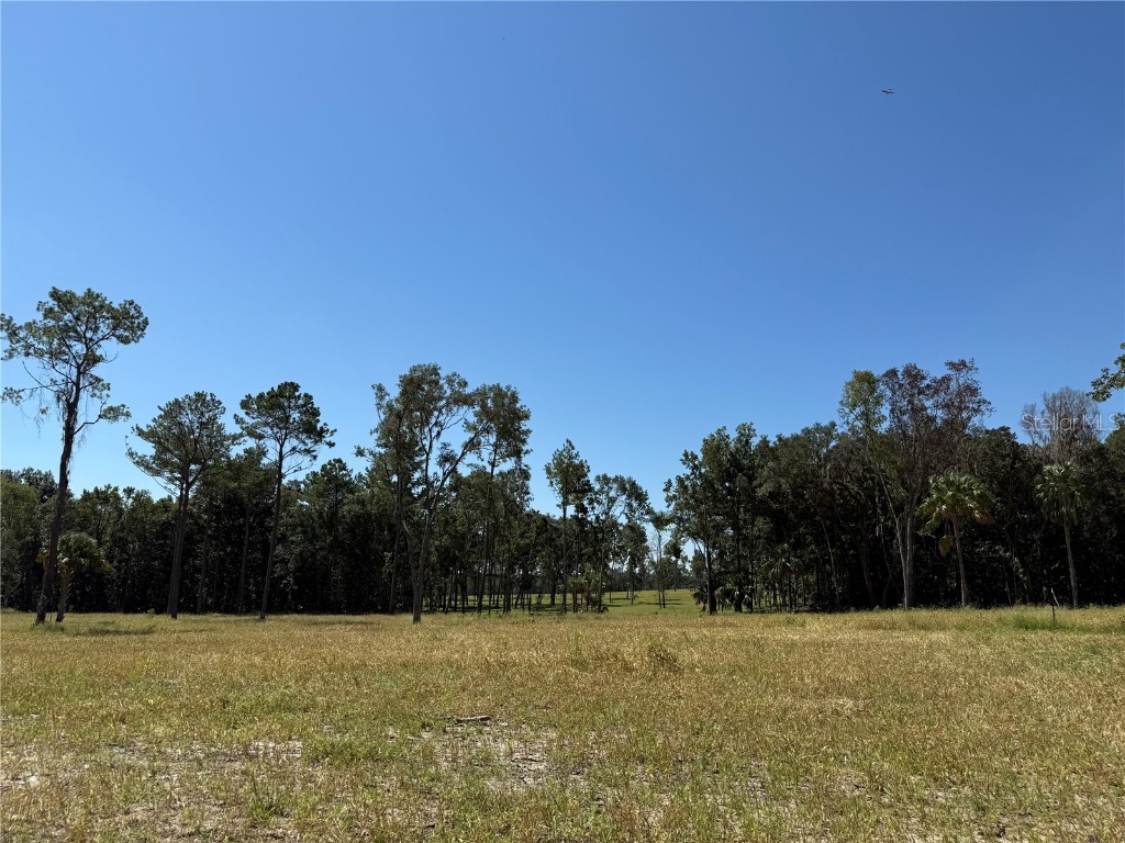 84ac NW 193rd St Micanopy FL 32667 OM688565 image7