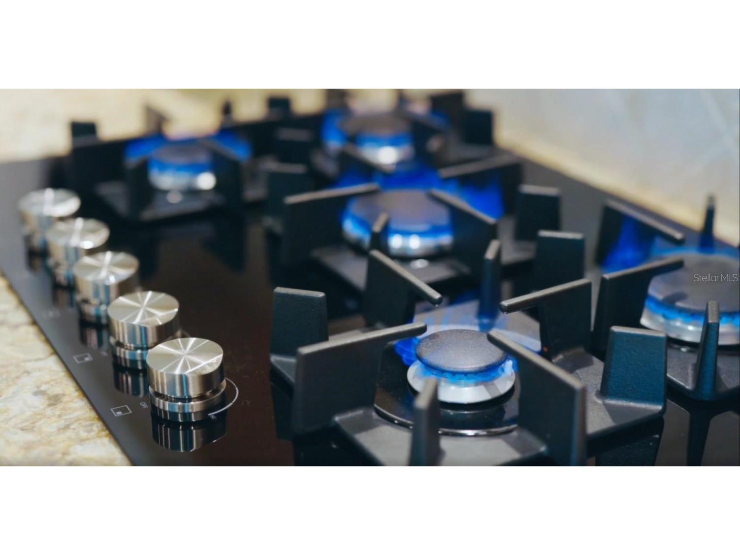 85 Belleview Boulevard #204 Belleair FL 33756 TB8421860 image17