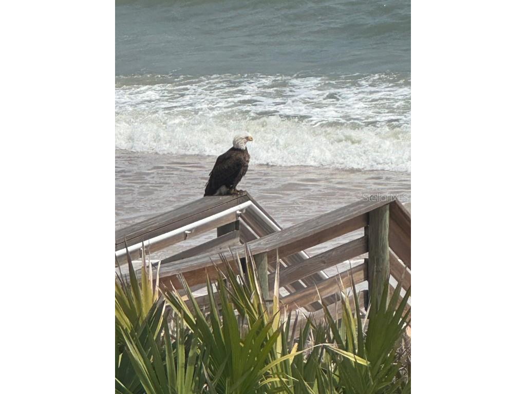 85 Calle Del Sur Palm Coast FL 32137 FC311622 image99