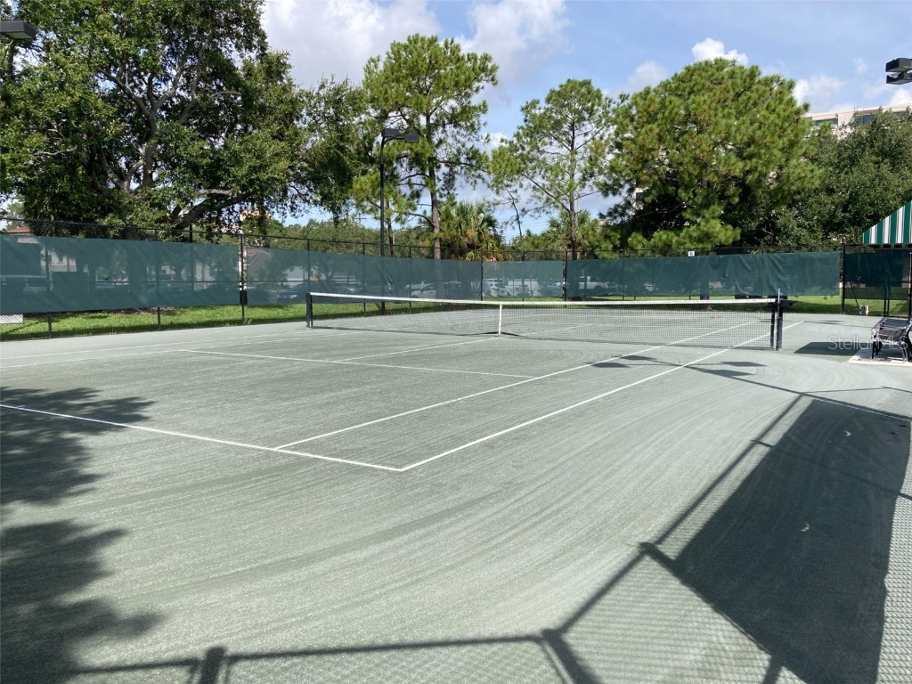 85 Davis Boulevard #B Tampa FL 33606 T3394514 image17