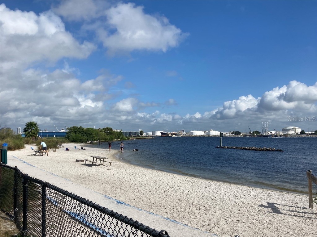 85 Davis Boulevard #B Tampa FL 33606 T3394514 image19