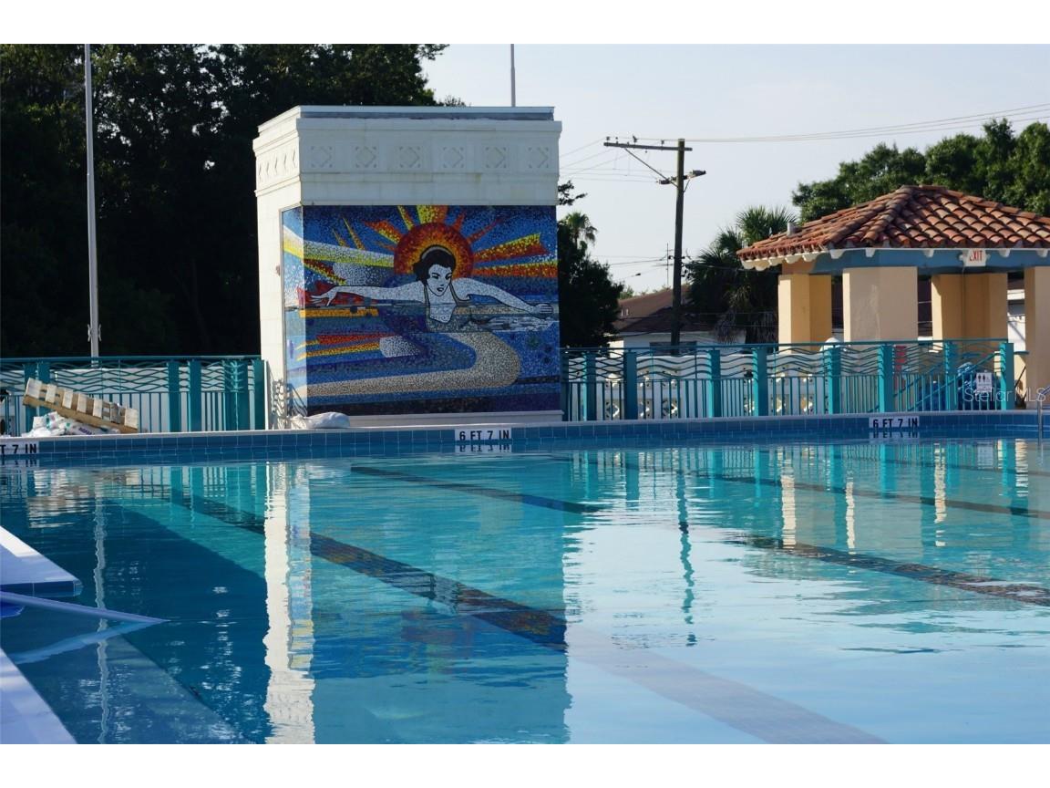 85 Davis Boulevard #D Tampa FL 33606 TB8368802 image15