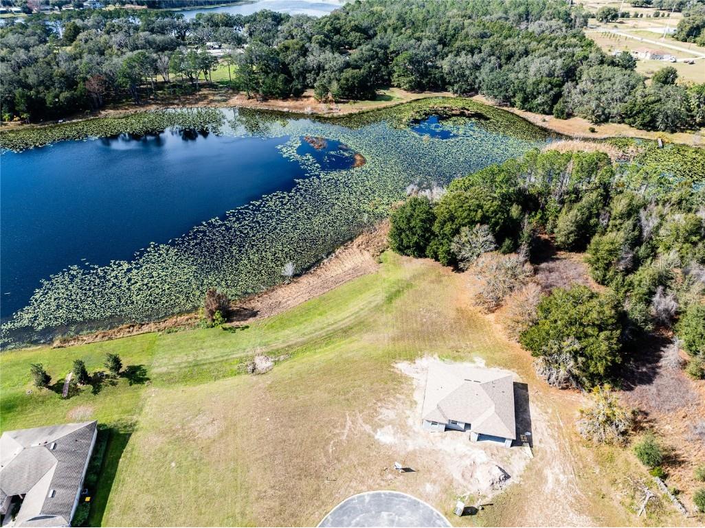 85 Fairway Circle Umatilla FL 32784 G5076994 image1